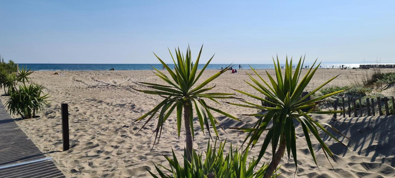 Joli T2 Avec Jardin Plage Richelieu - 6 Personnes Agde Ngoại thất bức ảnh